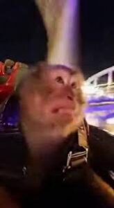 This reaction oh my goss 🤣