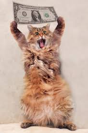 Cat Stole Money 🐈❤️😢