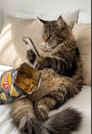 Чудесные ролики с ИИ😜😄