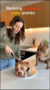 Ranking Funniest cake pranks part 4 🤣🤣