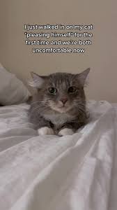 Few Days Before School 🥲🤣😉