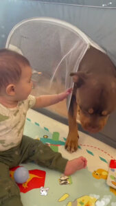 Phillies land All-Star closer Jhoan Duran ahead of MLB trade deadline 👀🔥