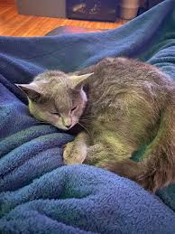 Drama queen...... part (01)