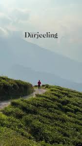 Darjeeling Short Status Video