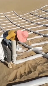 🌵 How Humans Are Stopping Deserts from Spreading | Sand Grid Barriers Explained 🌍✨