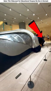 The Secret Guard Dog revealed