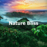 Nature Bliss