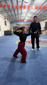 Real kungfu skills show👍