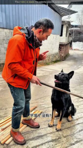 Genius Dog Move 😮