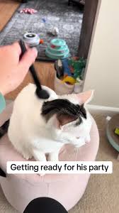 He Got Ready For Party!