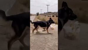 Que reflexão nos traz essa cena