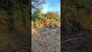 ترويض البرية: كيف تُحدث الآلات التي تُشغَّل عن بُعد ثورة في مجال إزالة الأشجار