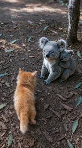 This loneliest zoo in the world will touch your heart 🥹💕