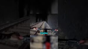 Biker Got Chased By A Train💀🚆